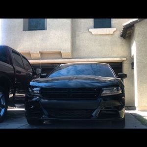 Meet your Posher, Letty